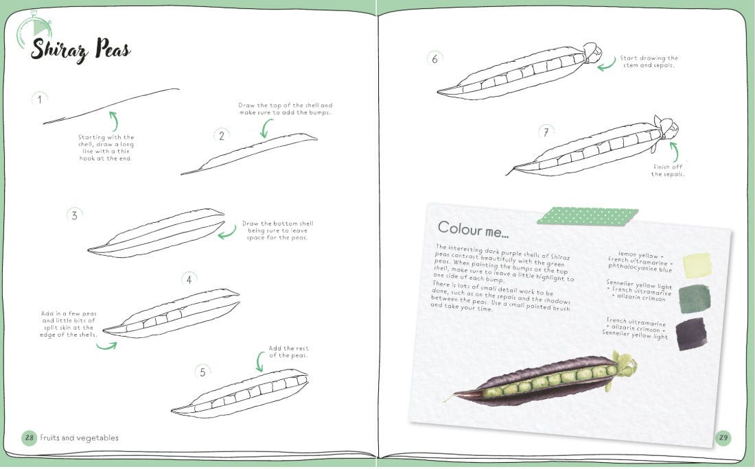 Draw In 10 Minutes Botanicals Book