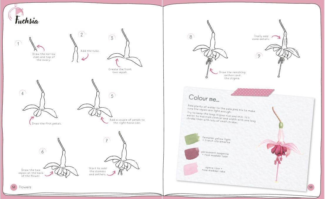 Draw In 10 Minutes Botanicals Book