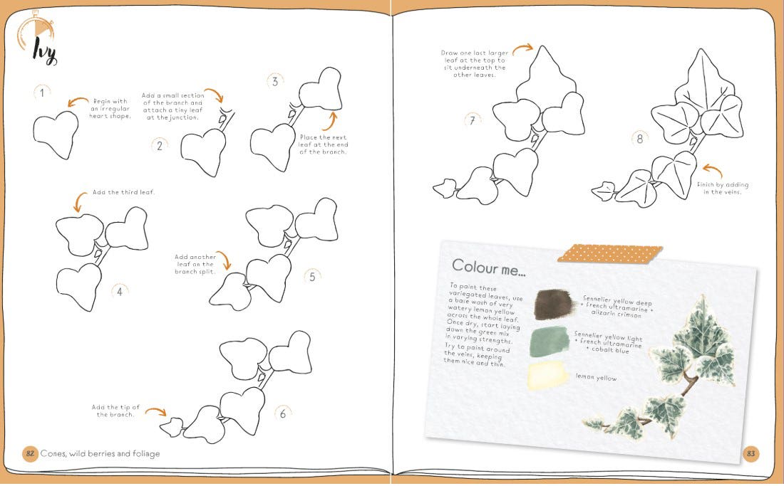 Draw In 10 Minutes Botanicals Book