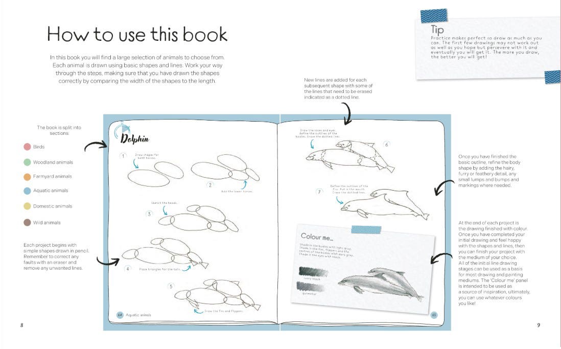 Draw In 10 Minutes Animals Book