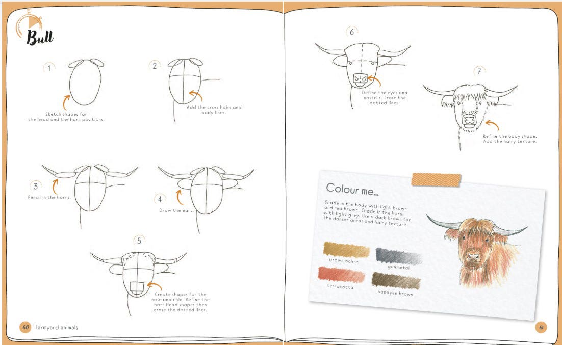 Draw In 10 Minutes Animals Book