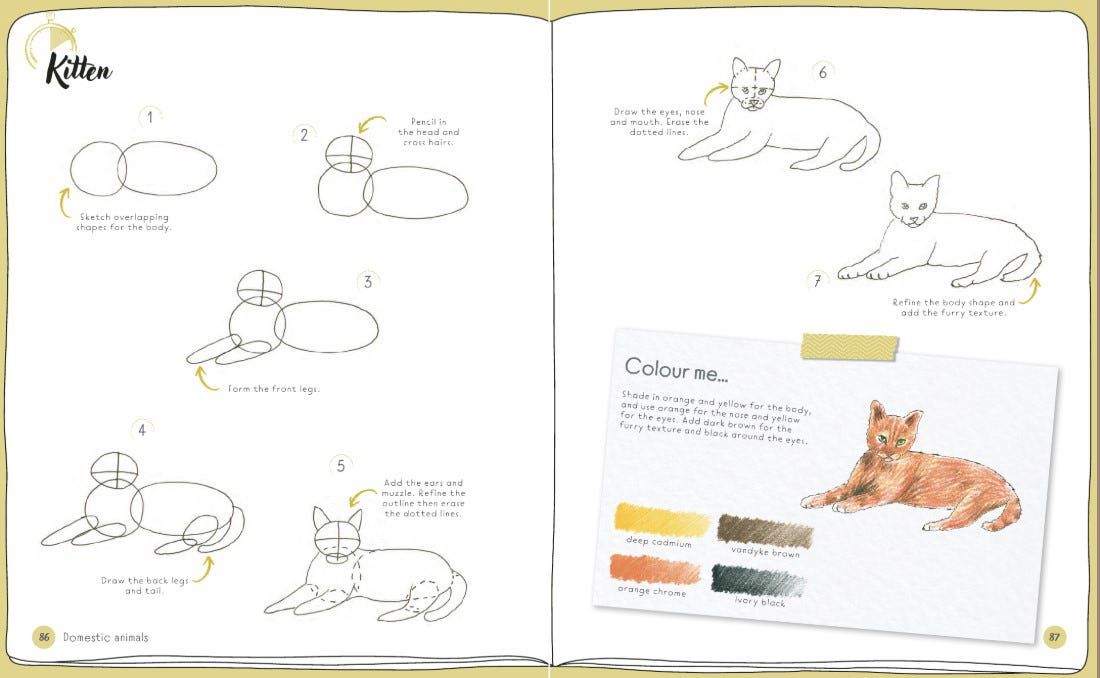 Draw In 10 Minutes Animals Book