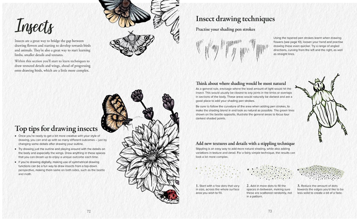The Kew Book Of Drawing Flora & Fauna Book