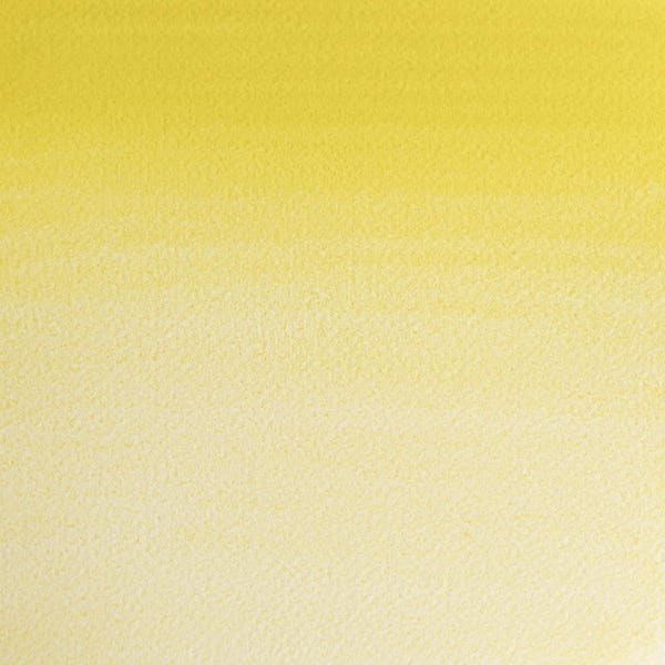 Winsor & Newton Professional Watercolour Paints 14ml