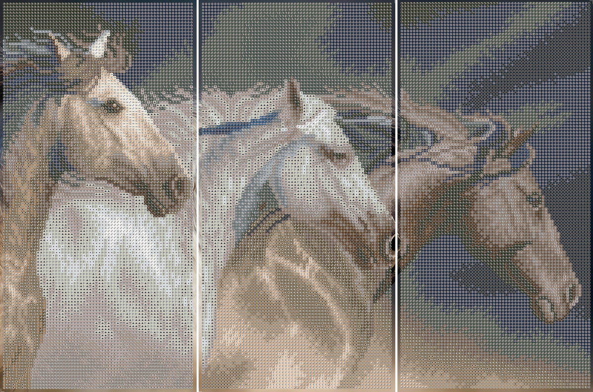 Diamond Dotz Triptych Three Panel Kit Sunlit Stallions