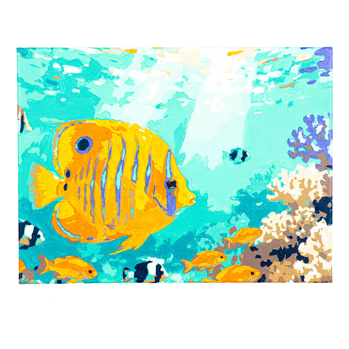 Byron Paint by Number Kit - Reef