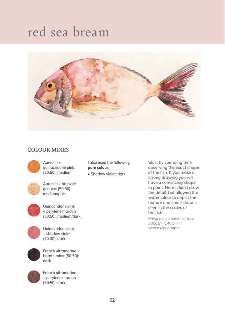 The Colour Mixing Guide Watercolour Seashore Book