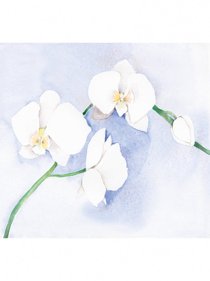 The Colour Mixing Guide Watercolour Botanicals Book