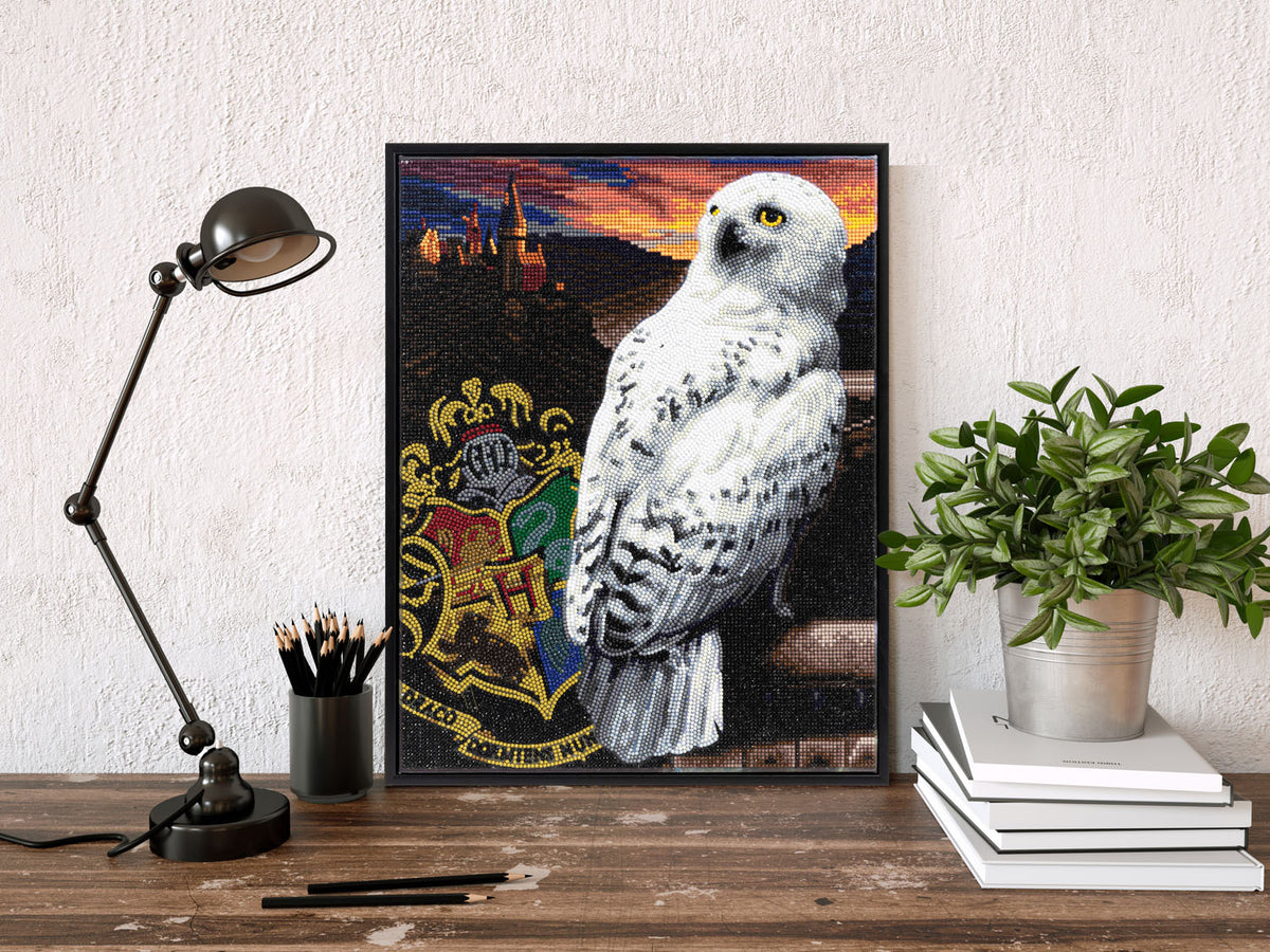 Diamond Dotz Harry Potter Kit Hp Hedwig
