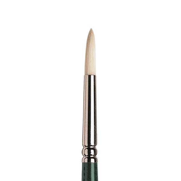 Winsor & Newton Winton Hog Round Brushes