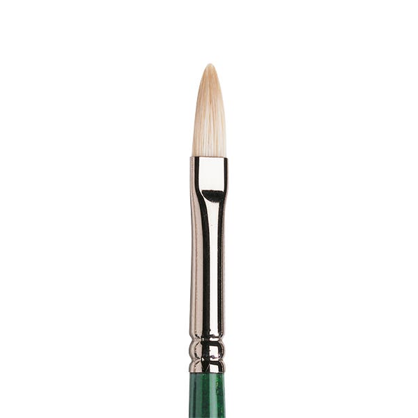 Winsor & Newton Winton Hog Filbert Brushes