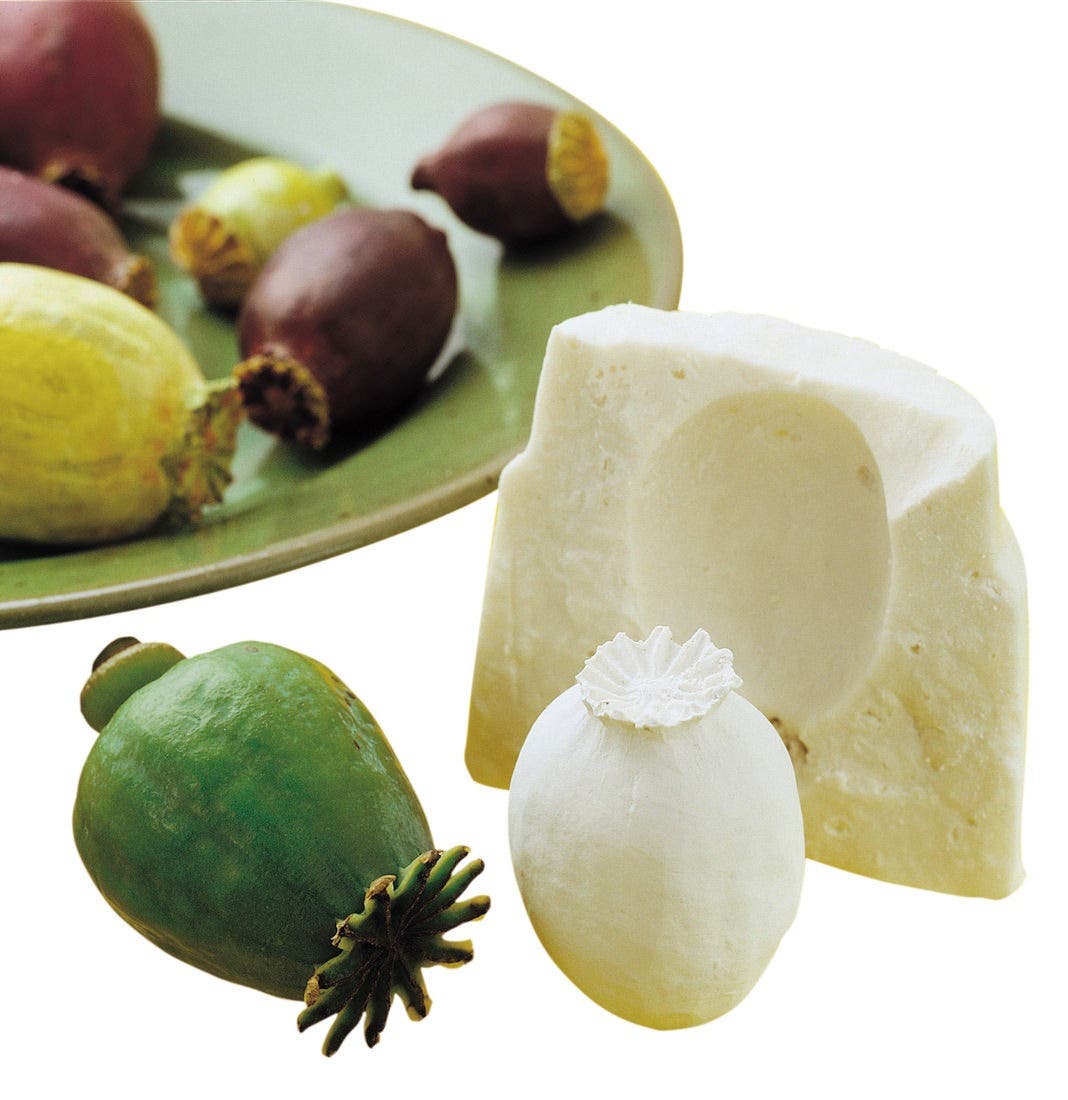 Pebeo Gedeo Moulding Alginate