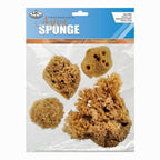 Sea Sponge Combination