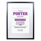 Profile 045 Frames