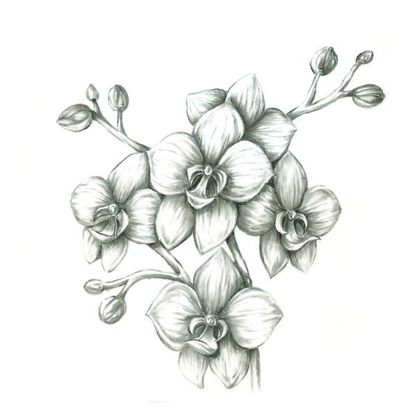STAEDTLER Mars Lumograph Charcoal Pencils