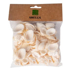 Shamrock Craft Natural Sea Shells