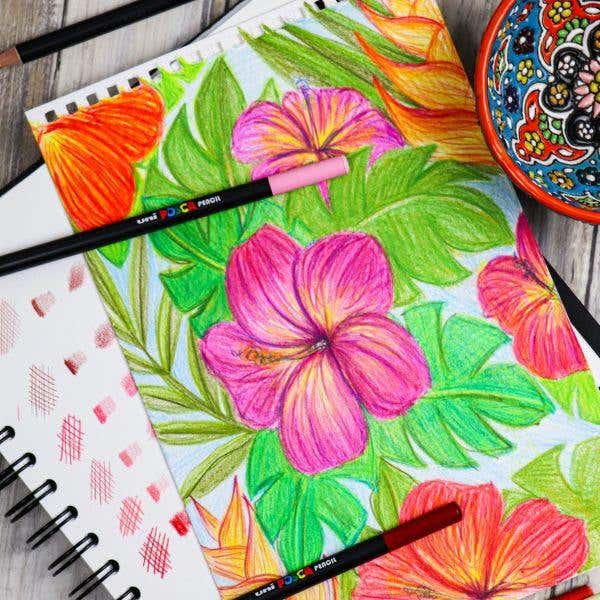 Posca Colour Pencil Set