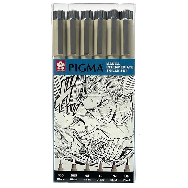 Sakura Pigma Intermediate Manga Set