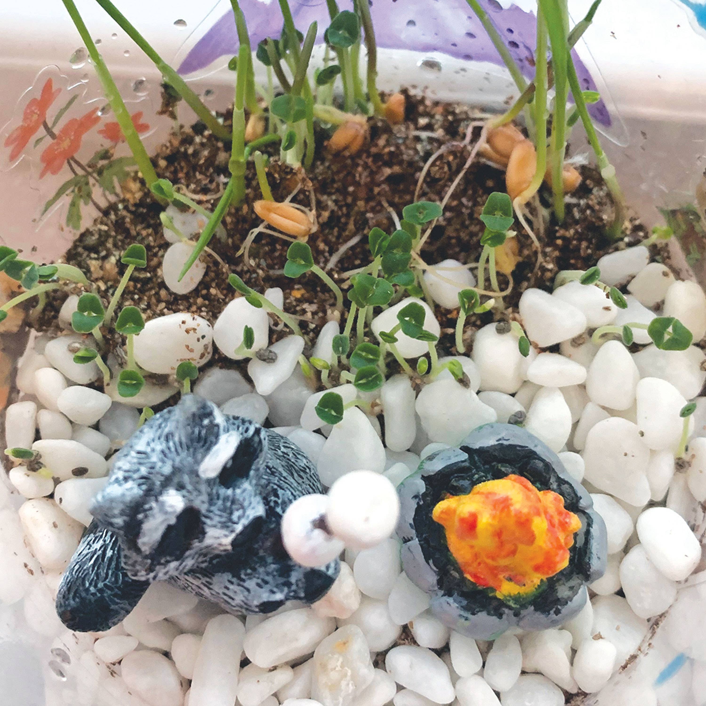 Faber-Castell Creativity for Kids Grow and Glow Terrarium Kit