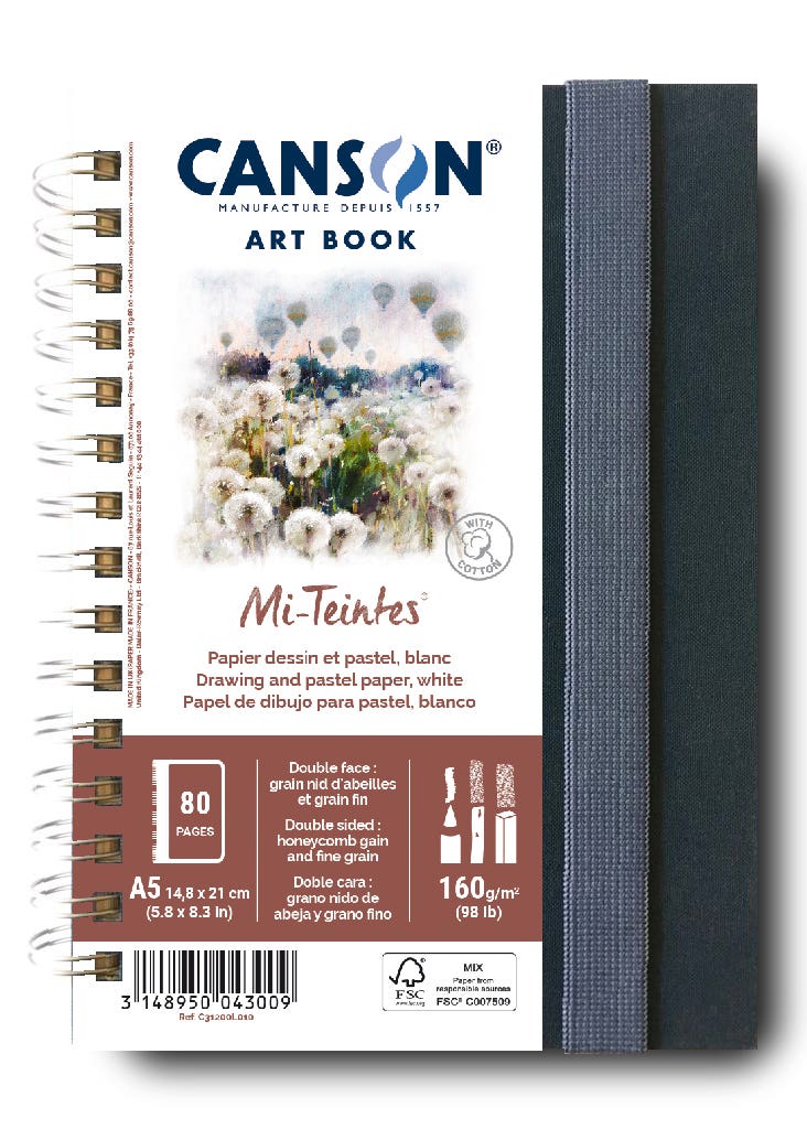 Canson Mi-Teintes Art Book