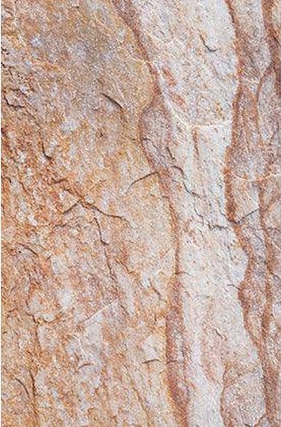 Pattern Paper Pack A4 Environment Pk 40