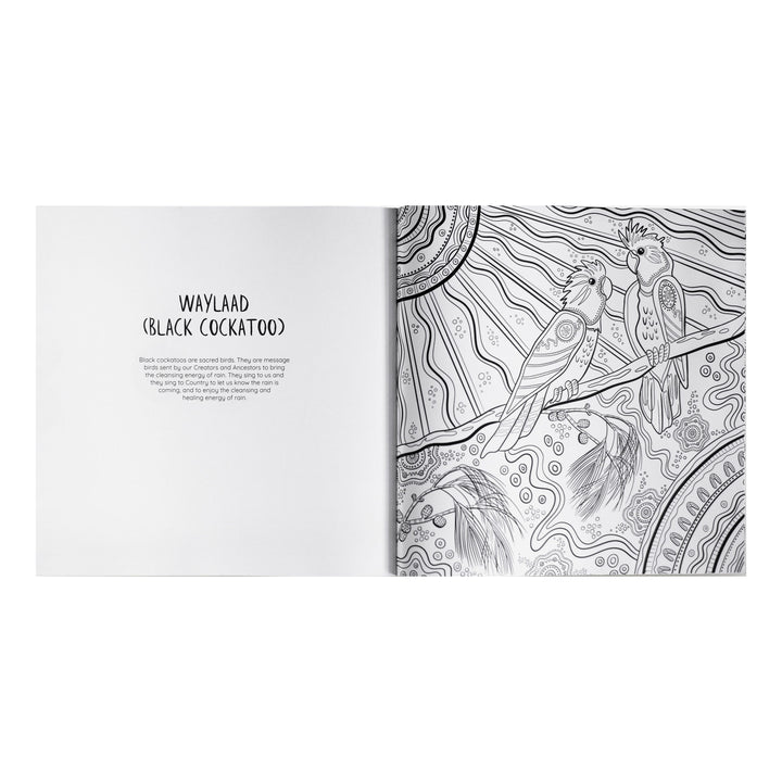 Jagun A First Nations Colouring Book