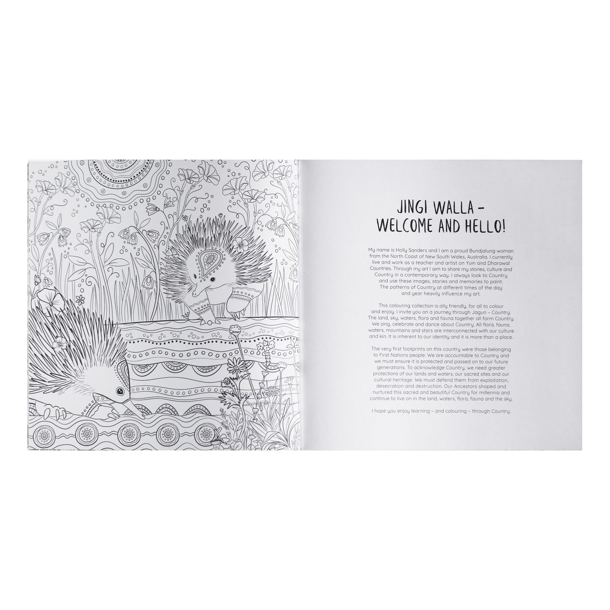 Jagun A First Nations Colouring Book