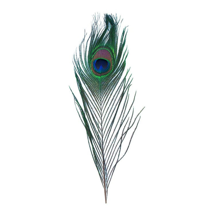 Value Craft Feathers Peacock Eyes 2 Pieces