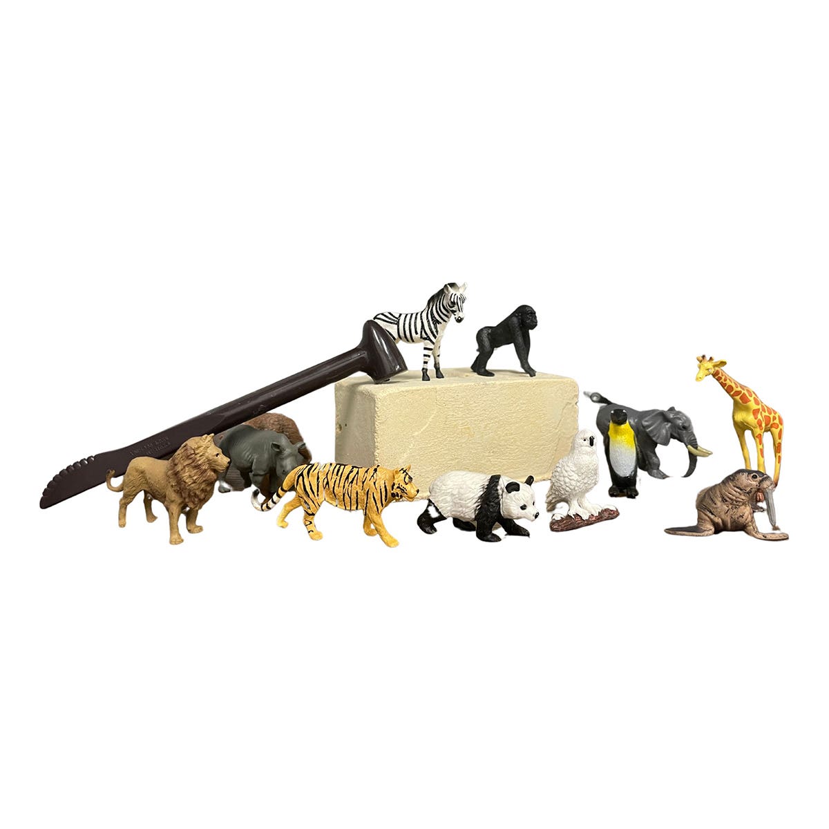 4M Kidzlabs Wildlife Animal Digging Kit