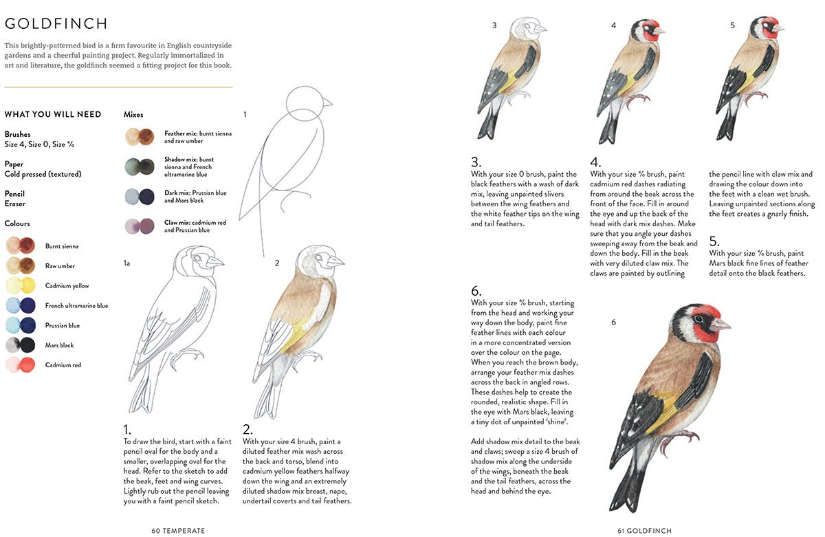 Birds Bees & Blossoms Book