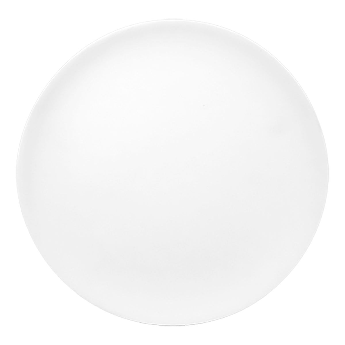 Ceramic Bisquewear Plates