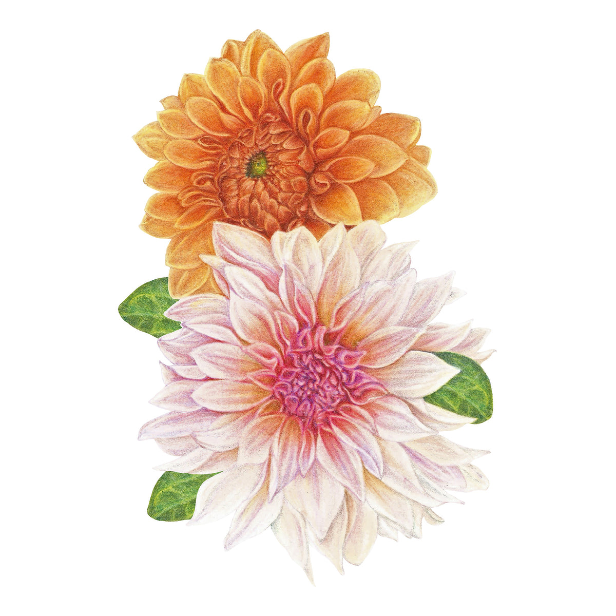 Faber-Castell Polychromos Colour Pencil Tin 140