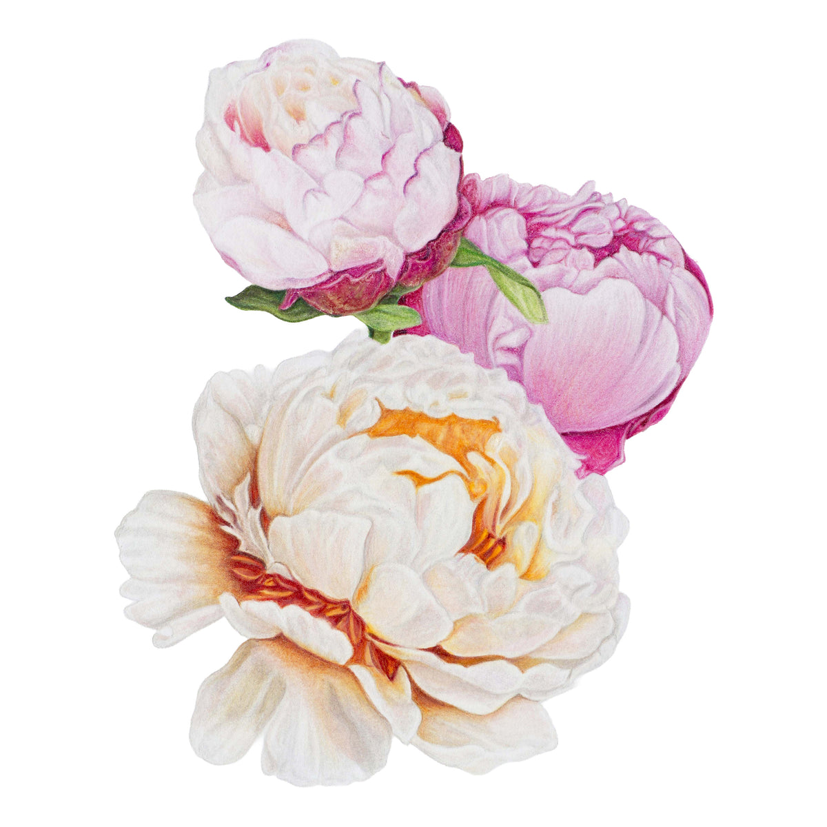 Faber-Castell Polychromos Colour Pencil Tin 140