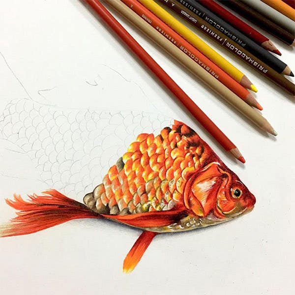 Prismacolor Premier Coloured Pencils