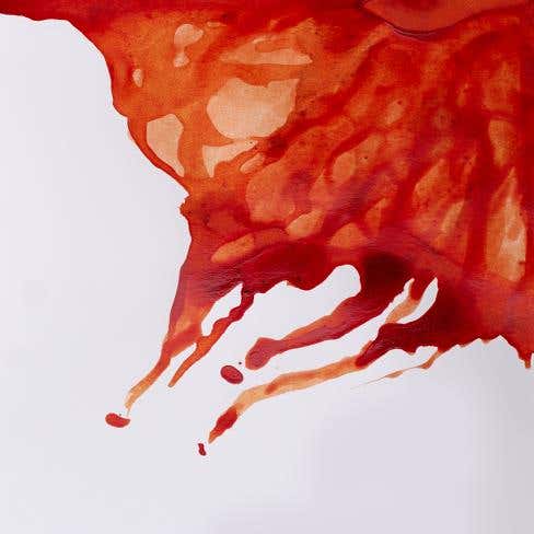 Winsor & Newton Drawing Inks 14ml