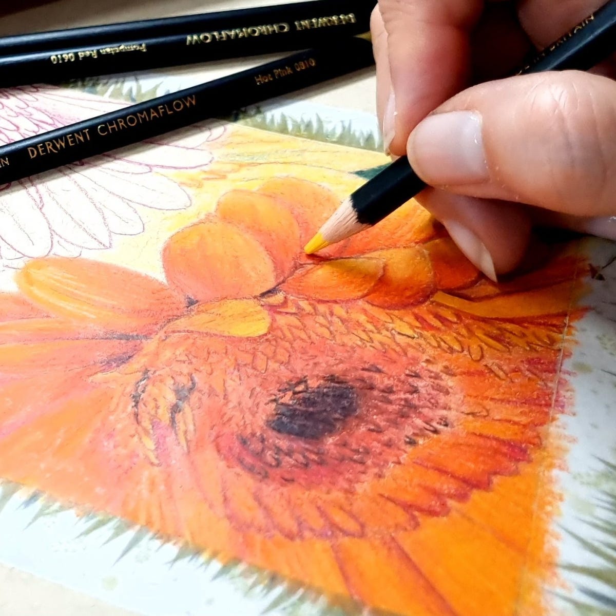 Derwent Chromaflow Pencils