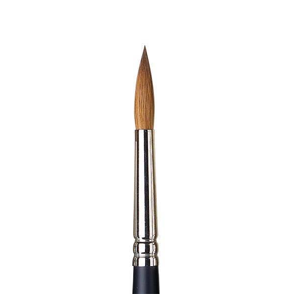 Winsor & Newton Professional Watercolour Sable Round Brushes