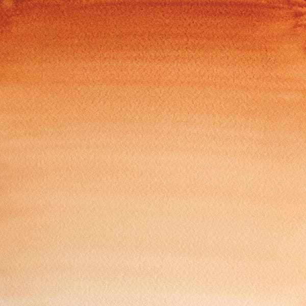 Winsor & Newton Professional Watercolour Paint Half Pans