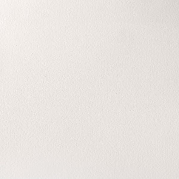 Winsor & Newton Professional Watercolour Paint Half Pans