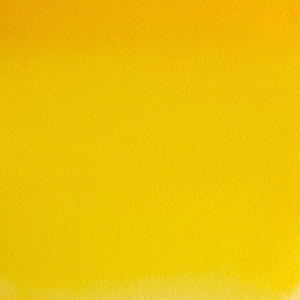 Winsor & Newton Professional Watercolour Paint Half Pans
