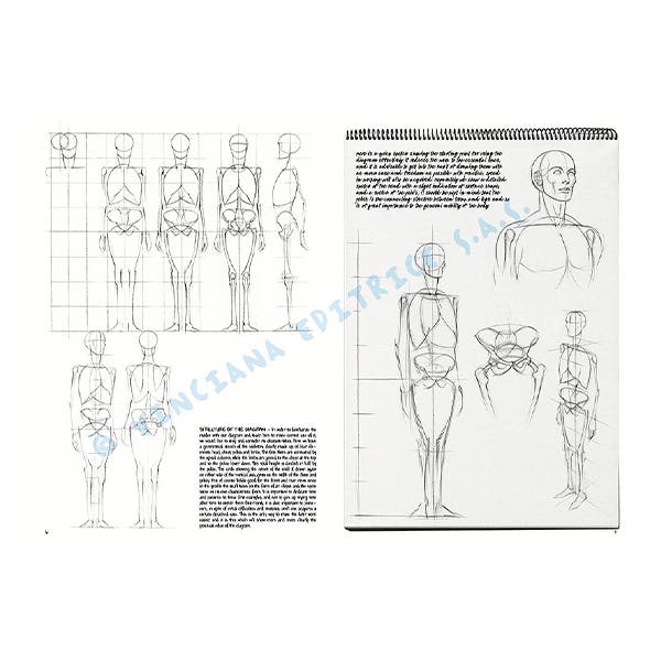 Leonardo Collection: 02 Fundamentals of Drawing Book