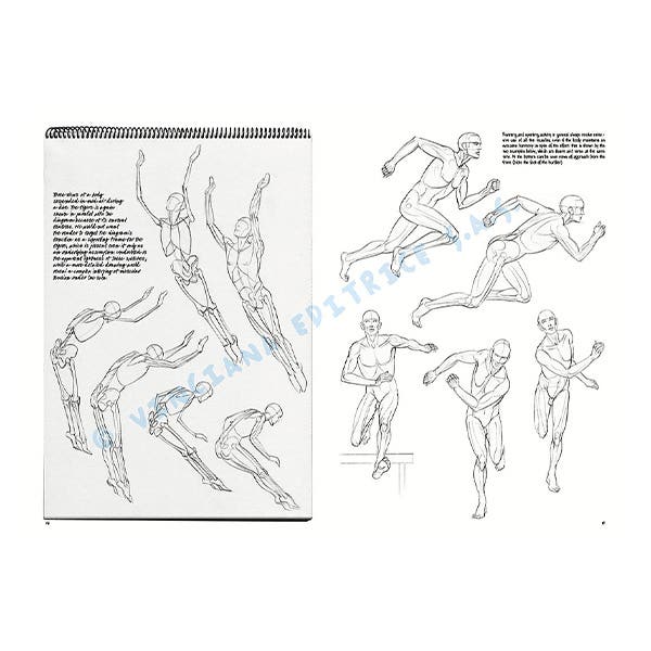 Leonardo Collection: 02 Fundamentals of Drawing Book