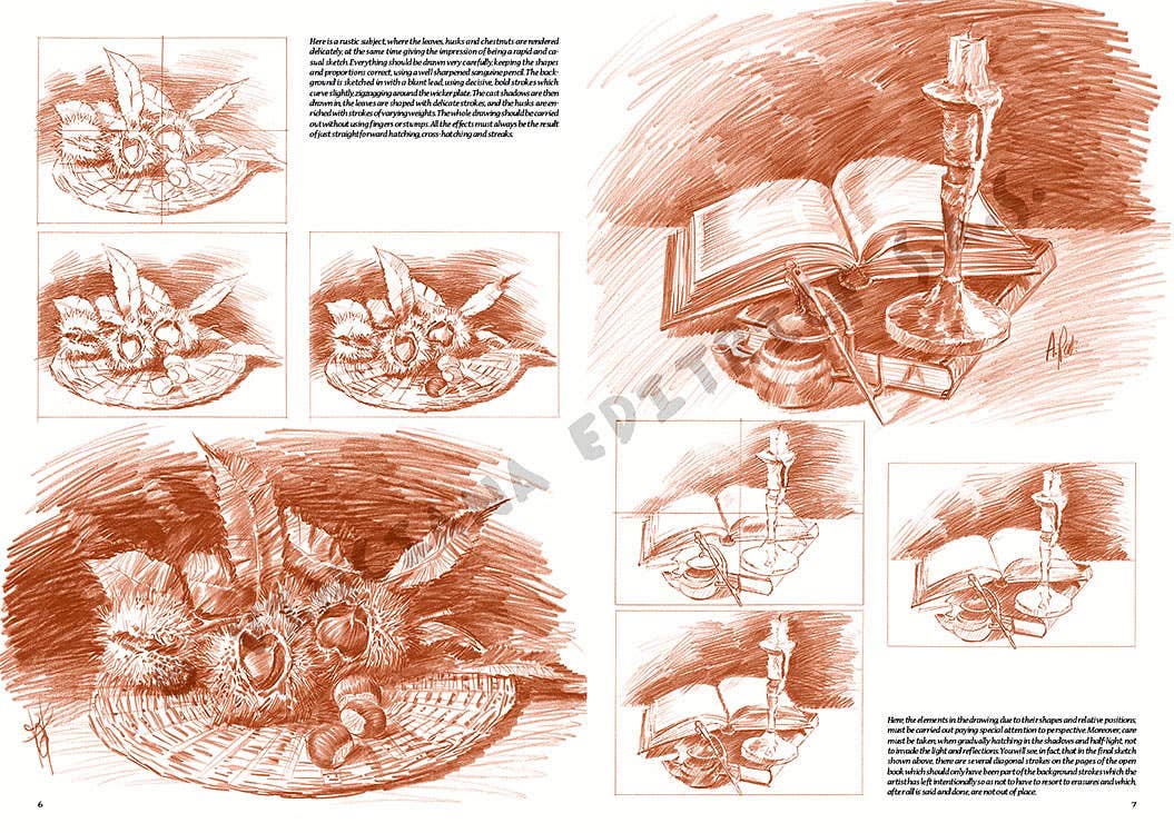 Leonardo Collection: 25 Still Life Book