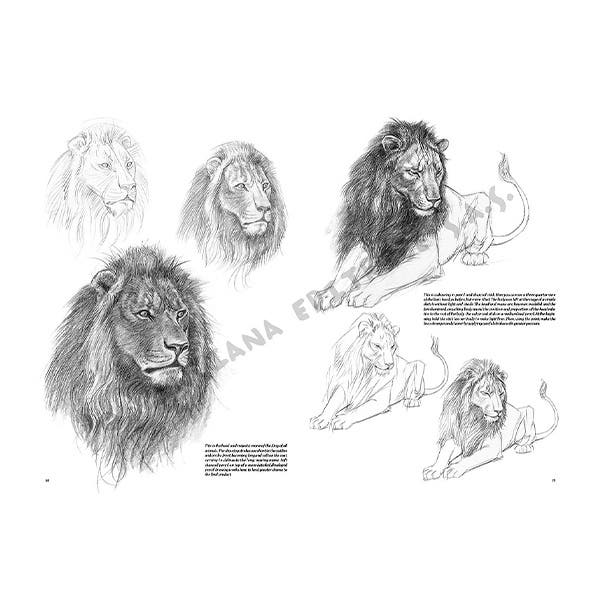 Leonardo Collection: 12 Animals Book
