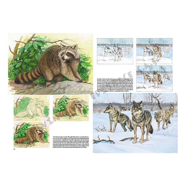 Leonardo Collection: 12 Animals Book
