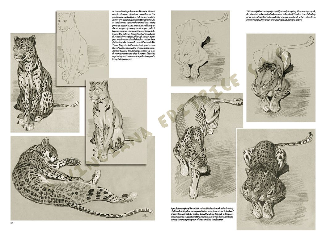 Leonardo Collection: 36 The Animals of M Meheut Book