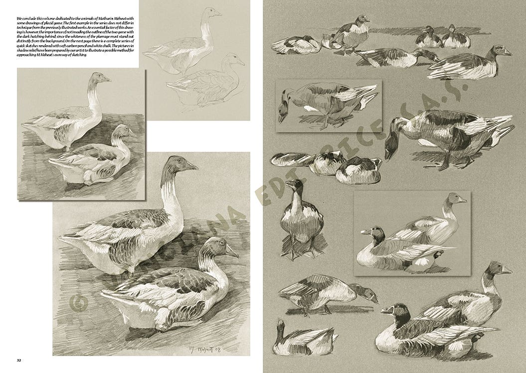 Leonardo Collection: 36 The Animals of M Meheut Book