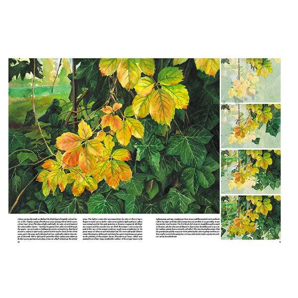 Leonardo Collection: 45 Trees and Leaves Book