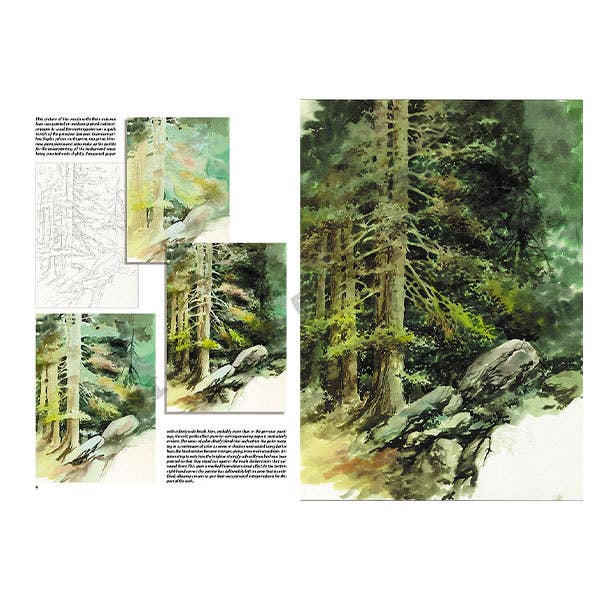 Leonardo Collection: 45 Trees and Leaves Book