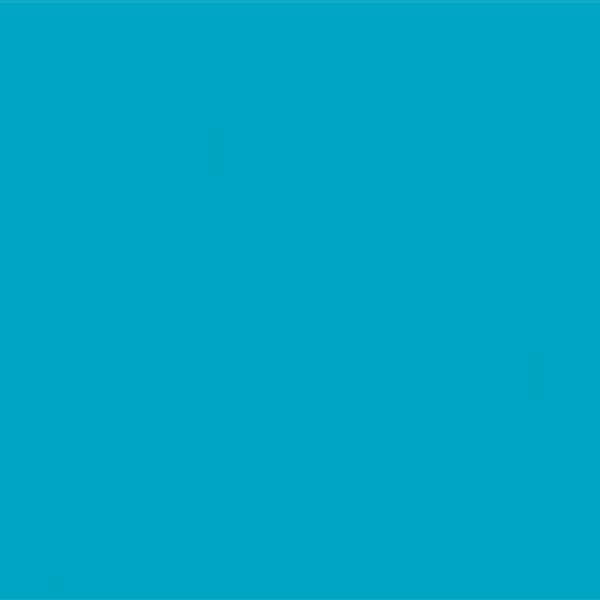 Jacquard Dye-Na-Flow Paints 66.5ml